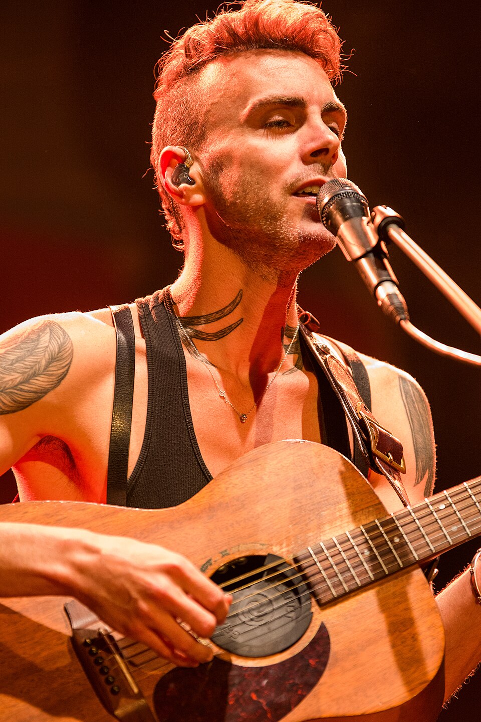 Asaf Avidan, foto: User:Carstor