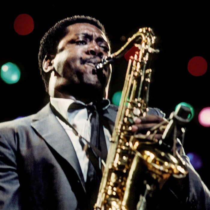 Clarence Clemons, foto: TheAudioDB
