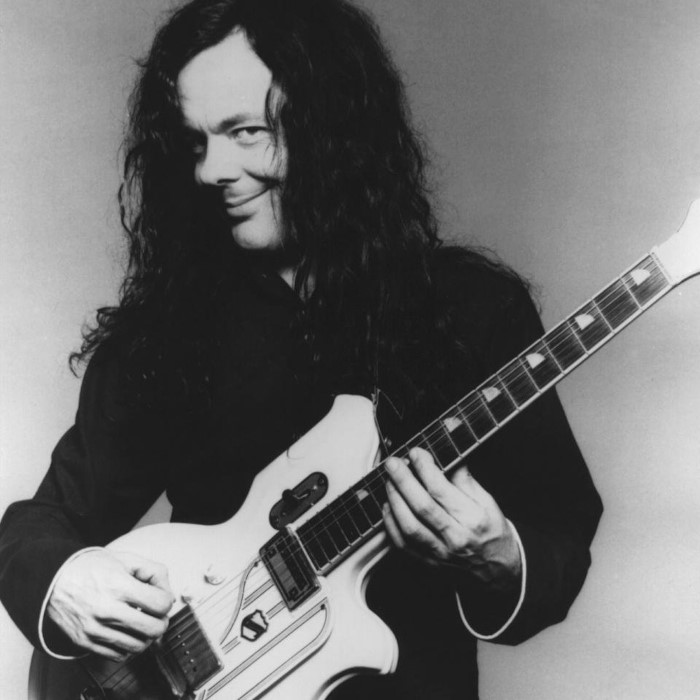 David Lindley, foto: TheAudioDB