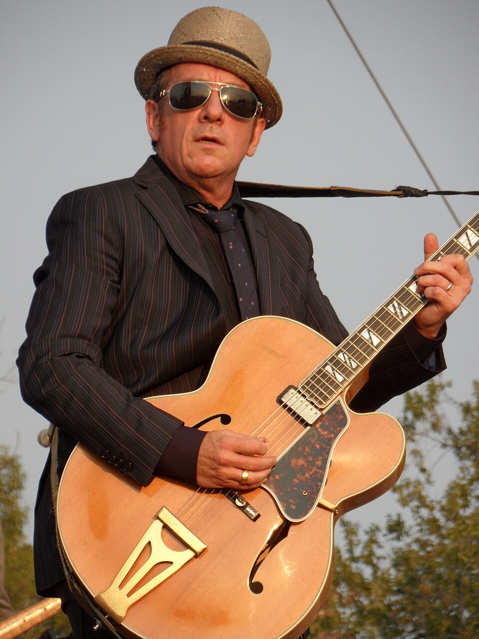 Elvis Costello, foto: Robman94