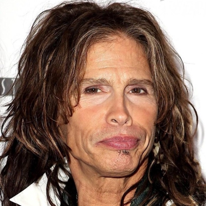 Steven Tyler, foto: TheAudioDB
